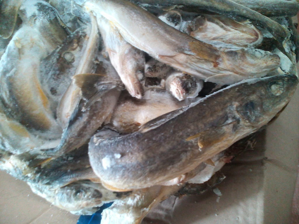 Можно ли есть семечки при похудении и сколько