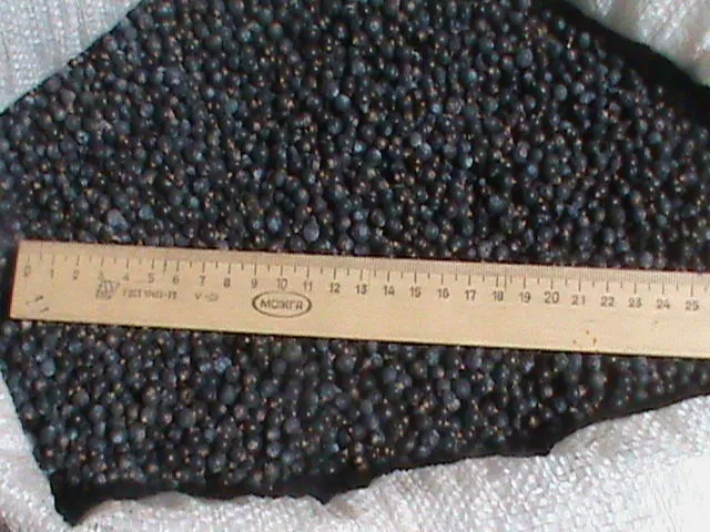 Фотография продукта Можжевельника плоды сушеные