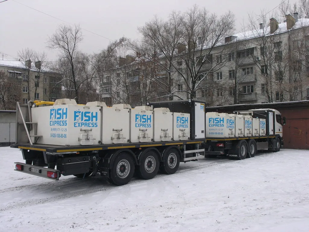перевозка живой рыбы в Москве