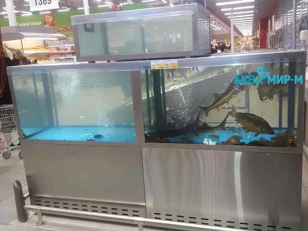 оборудование для продажи живой рыбы в Москве 2