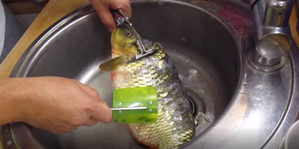 рЫБОЧИСТ - нож для очистки рыбы от чешуи в Москве