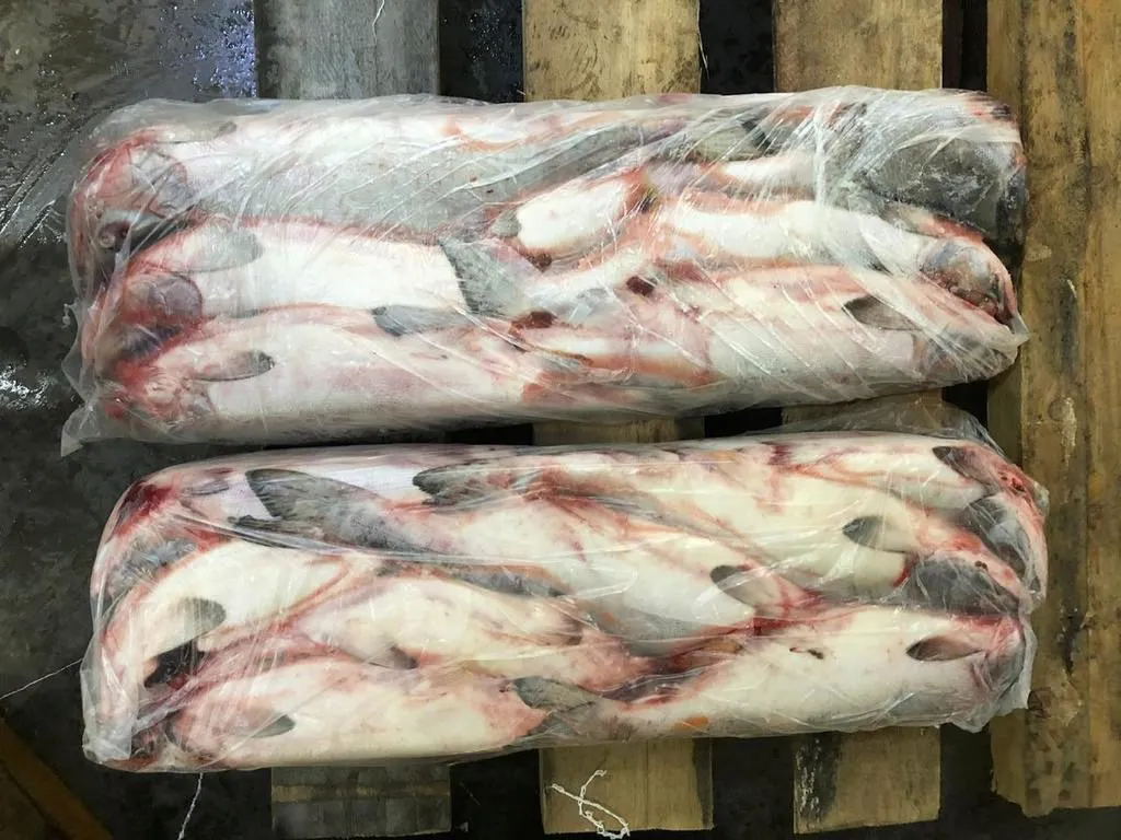 фотография продукта Продажа рыбы и морепродуктоа