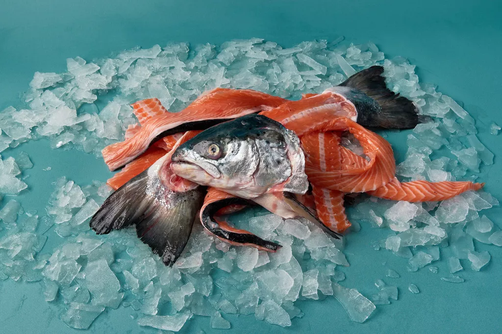 суповой набор лососевых рыб в Москве 4