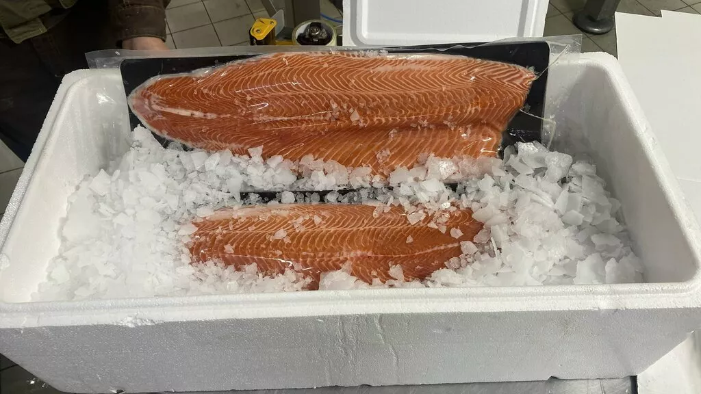 охлажденное филе лосося форели  в Москве