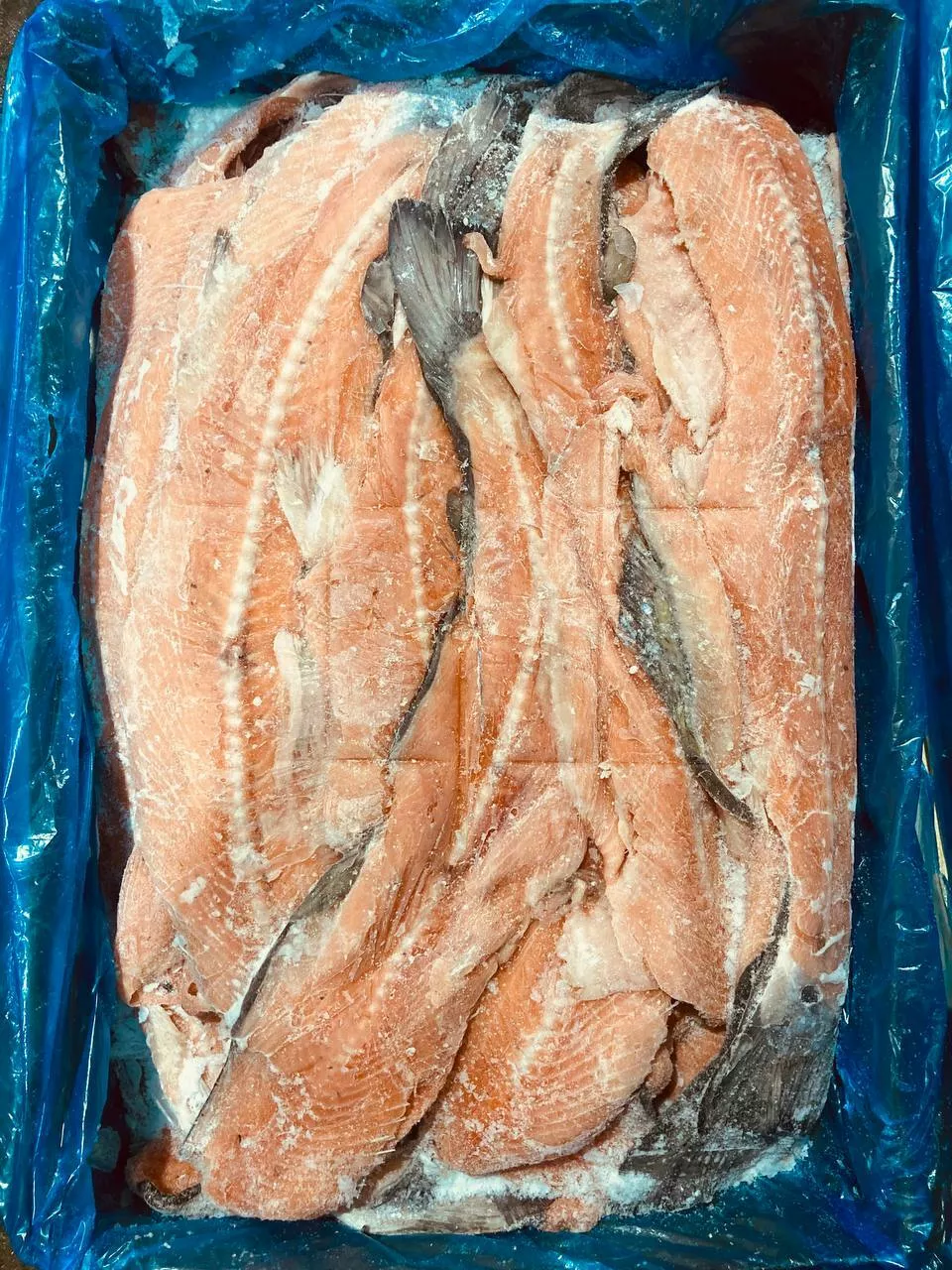фотография продукта Хребты лосося