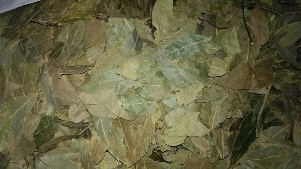 Фотография продукта Лавровый лист сушеный и молотый