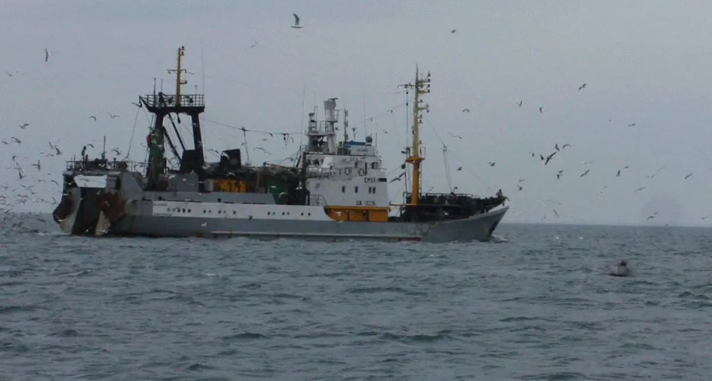 фотография продукта Черноморская рыба ОПТОМ Крым