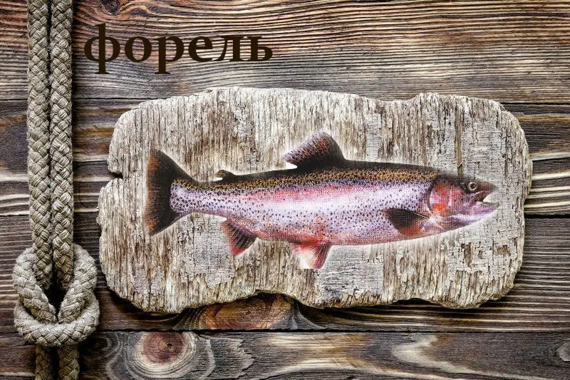 живая рыба Форель в Москве 4