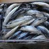 рыбу. морепродукты оптом в Москве