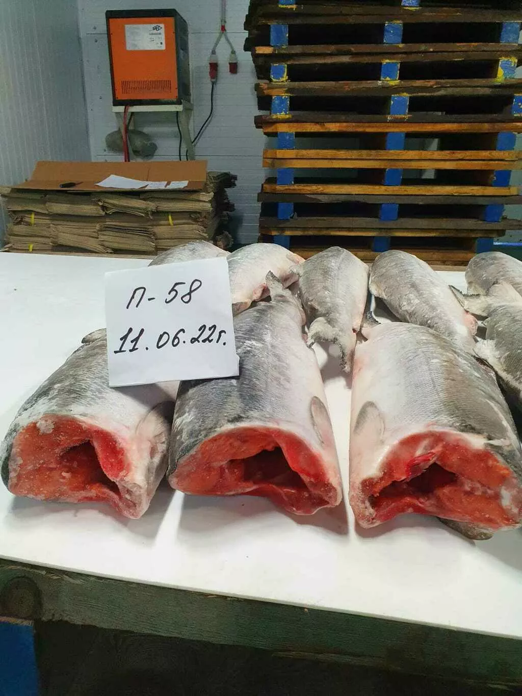 фотография продукта Рыба св/м в наро-фоминске 05.22г.