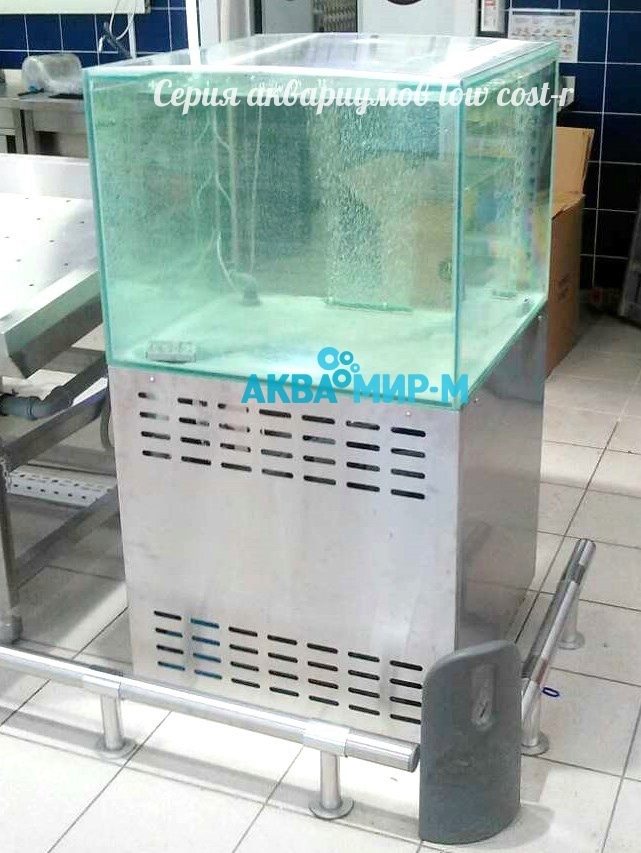 Магазины Продажа Живой Рыбы