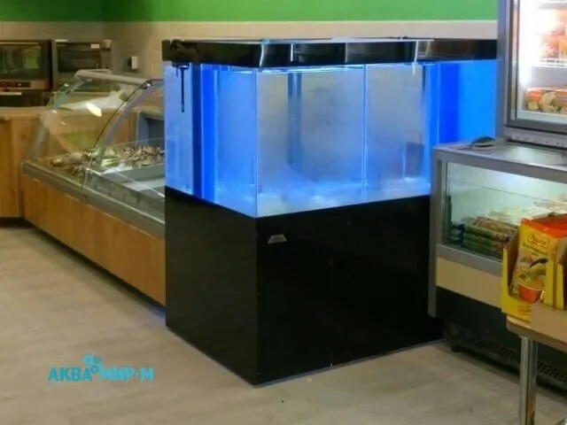 оборудование для продажи живой рыбы в Москве