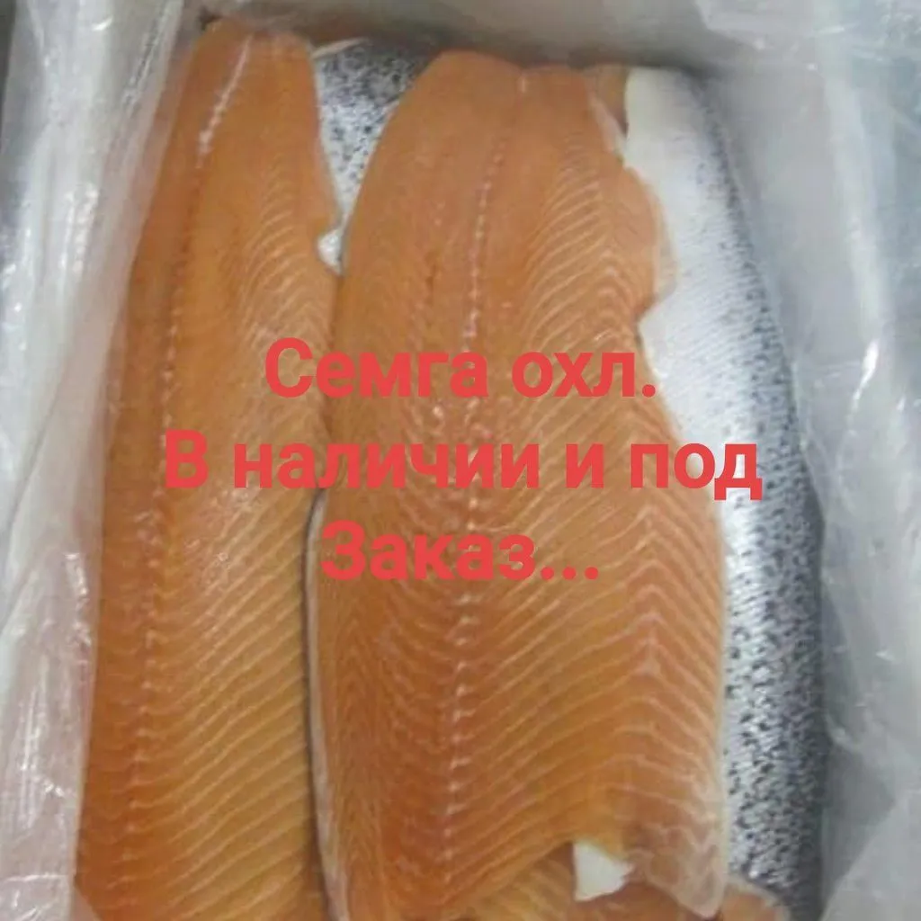 фотография продукта Филе лосося охлажденое и свежемороженое.