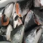  Рыба Кета, семга, форель, лосось 4