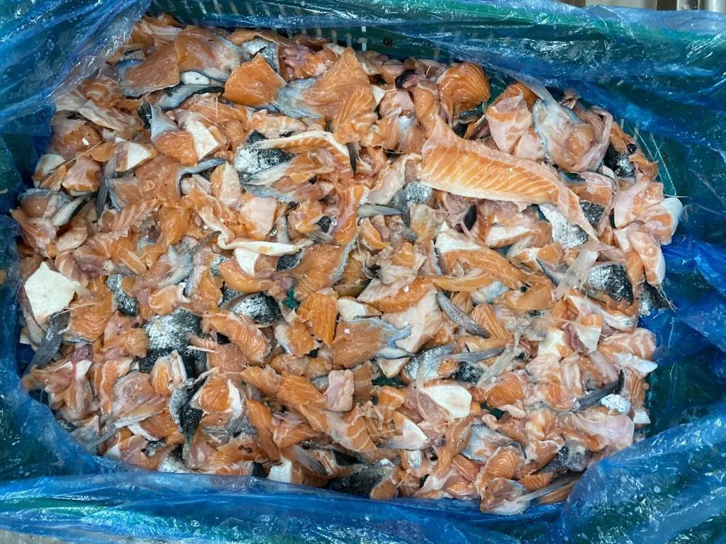 фарш лососевых пород рыбы, хребты, голов в Республике Беларусь
