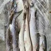 свежемороженая Рыба с Доставкой в Москву в Кизляре