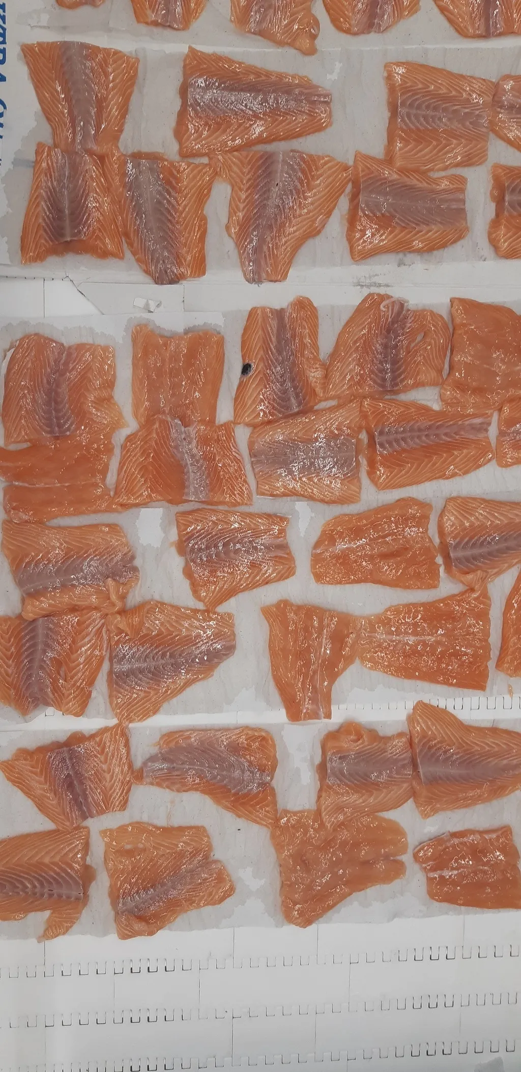 фотография продукта Куски лосося б/шк 20-100 гр