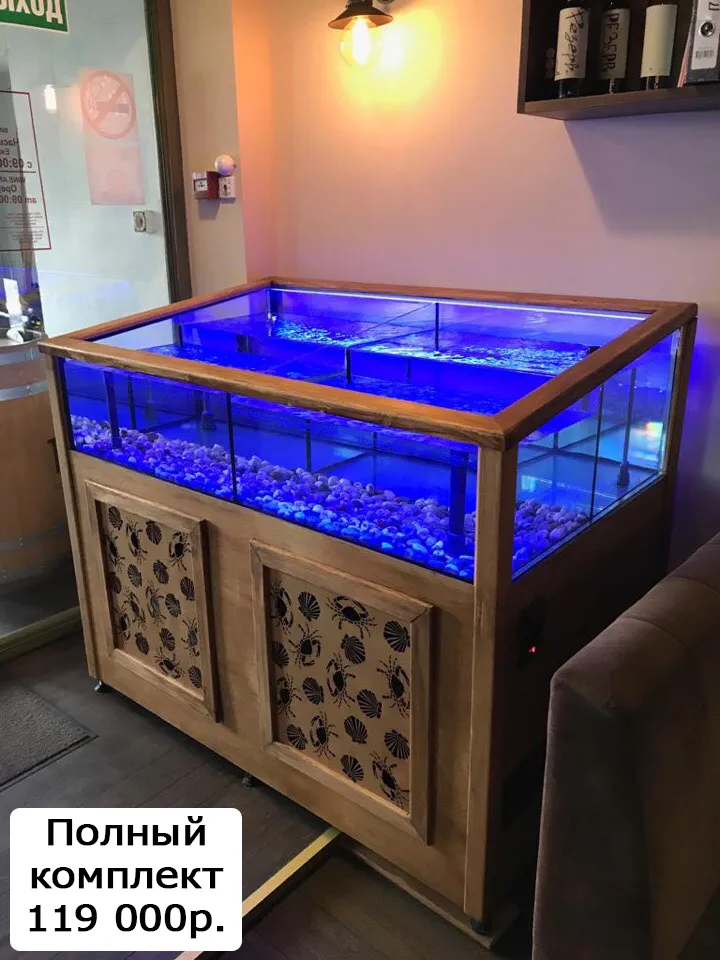 аквариум для устриц, морепродуктов, рак в Москве 6