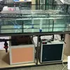 аквариум для устриц, морепродуктов, рак в Симферополе 7