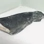 угольная рыба свежемороженая 3+кг в Москве