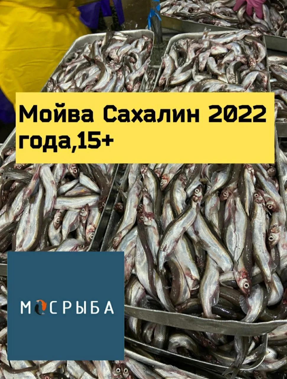 фотография продукта Мойва Сахалин 2022 года от производителя