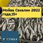 мойва Сахалин 2022 года от производителя в Москве