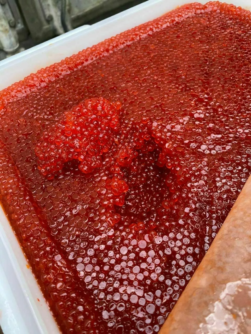 фотография продукта Красная икра кижуча оптом