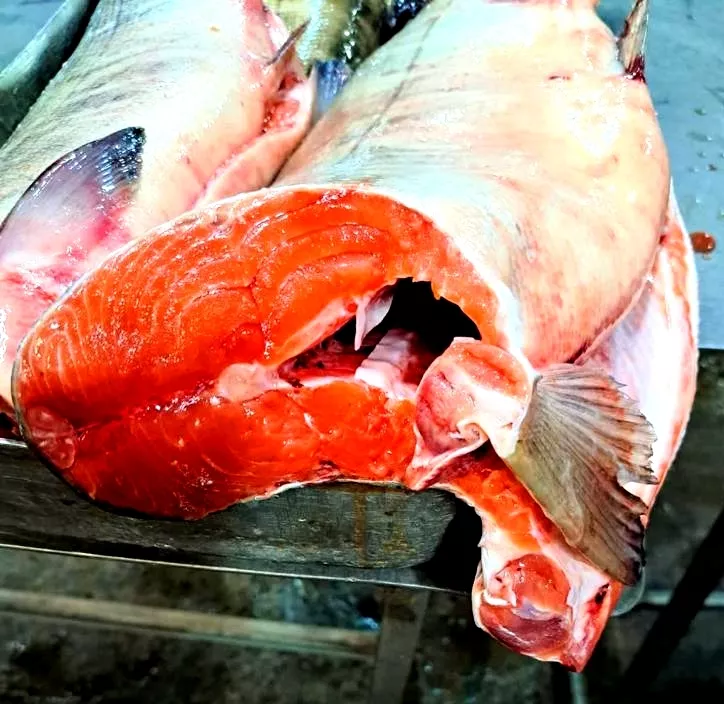 фотография продукта Рыба и рыбные полуфабрикаты оптом москва