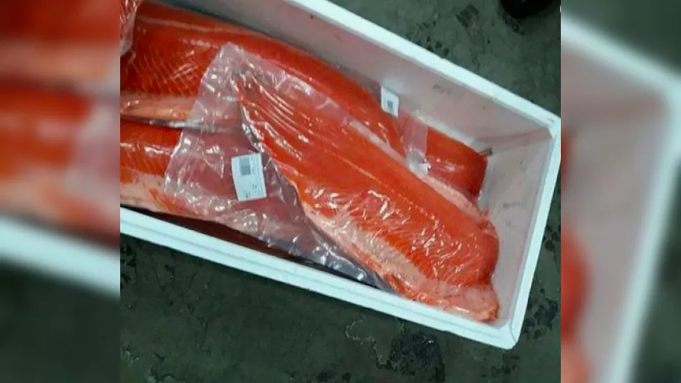 красная рыба лосось форель оптом мск в Москве 7