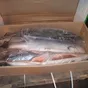 красная рыба лосось форель оптом мск в Москве