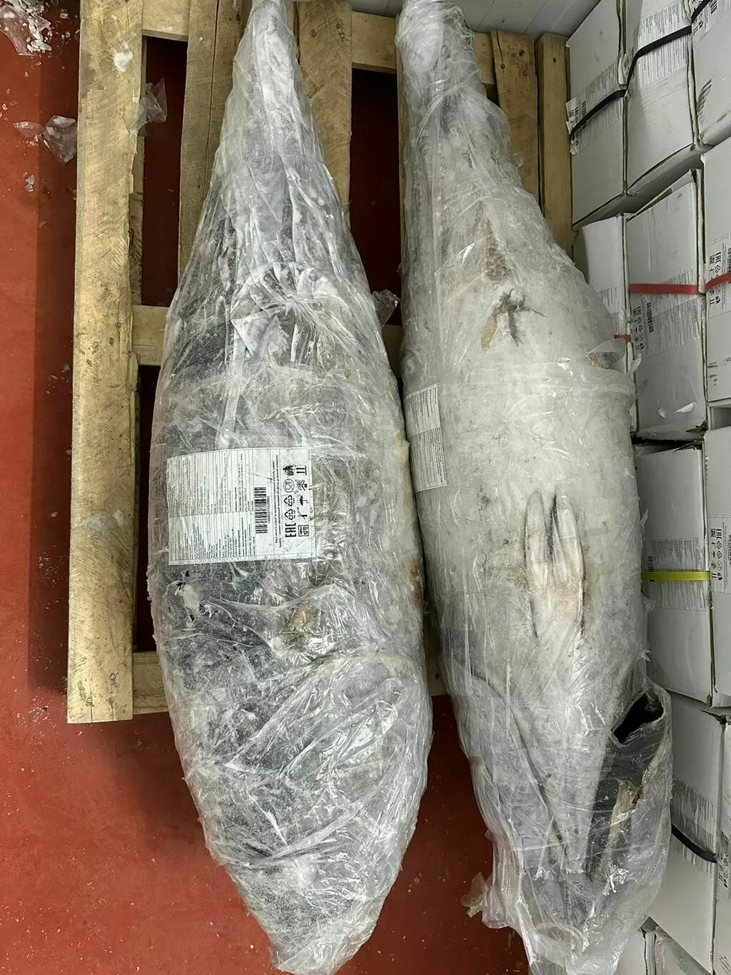тунец блюфин 60+кг в Москве