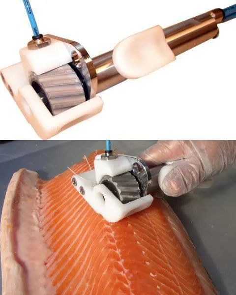 Сушильное оборудование для сушки рыбы в инфракрасном шкафу