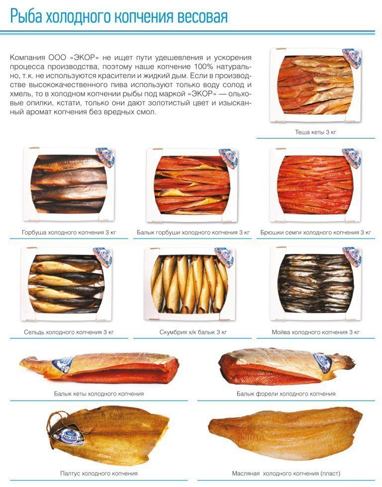 Какие холодного копчения. Рыба горячего копчения названия. Рыба холодного копчения. Рыба холодного копчения названия. Копченая рыба холодного копчения названия.